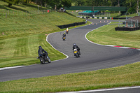 Vintage-motorcycle-club;eventdigitalimages;mallory-park;mallory-park-trackday-photographs;no-limits-trackdays;peter-wileman-photography;trackday-digital-images;trackday-photos;vmcc-festival-1000-bikes-photographs